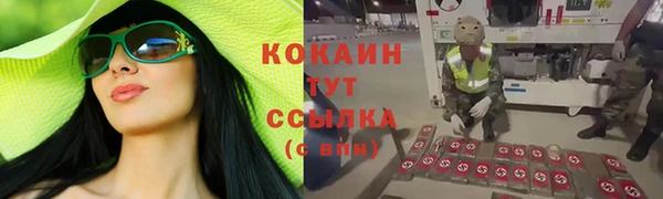 прущий лед Абаза