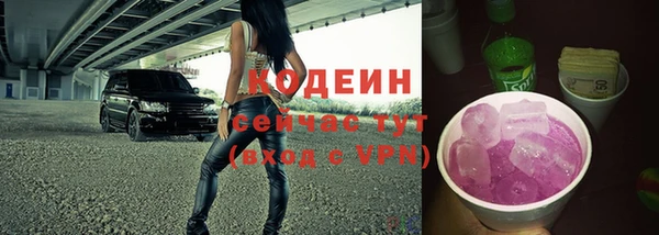 прущий лед Абаза