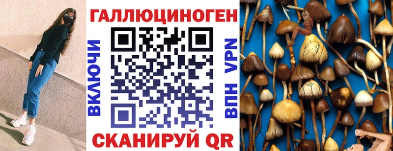 kraken ТОР  Хабаровск  Псилоцибиновые грибы ЛСД  что такое наркотик 