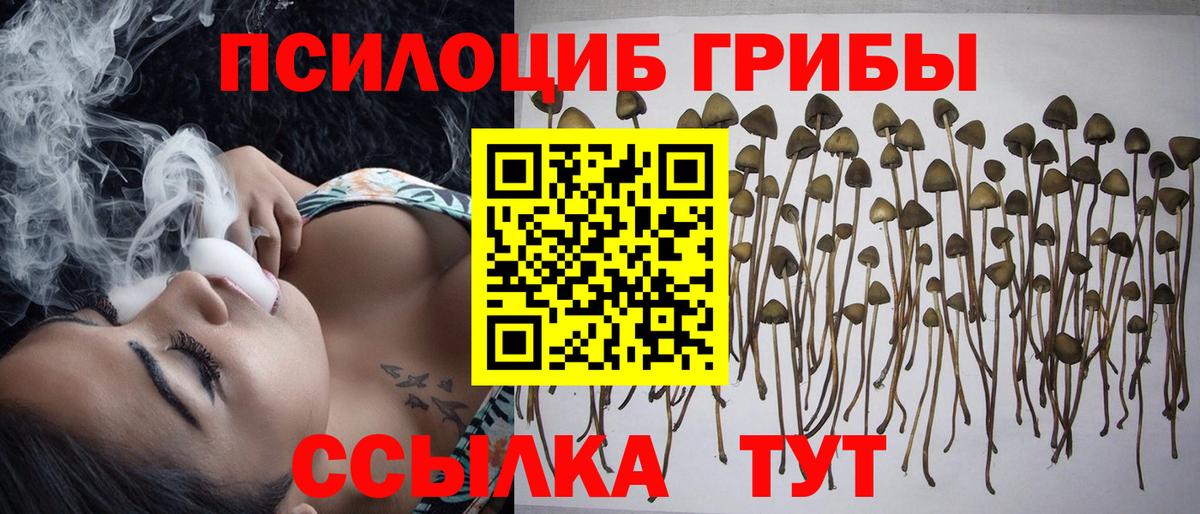 что такое наркотик  Вход с VPN  Хабаровск  Псилоцибиновые грибы Psilocybine cubensis 