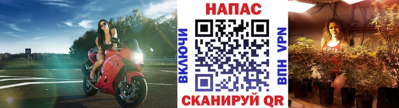 Каннабис план  Хабаровск 